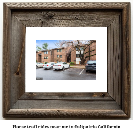 horse trail rides near me in Calipatria, California